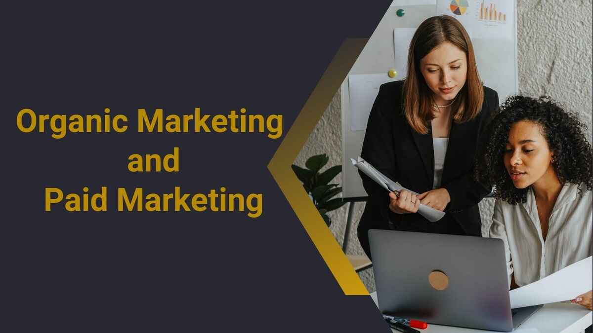 Difference between organic and paid marketing